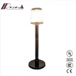 High Quality Modern Glass Floor Lamp for Living Room & Bedroom